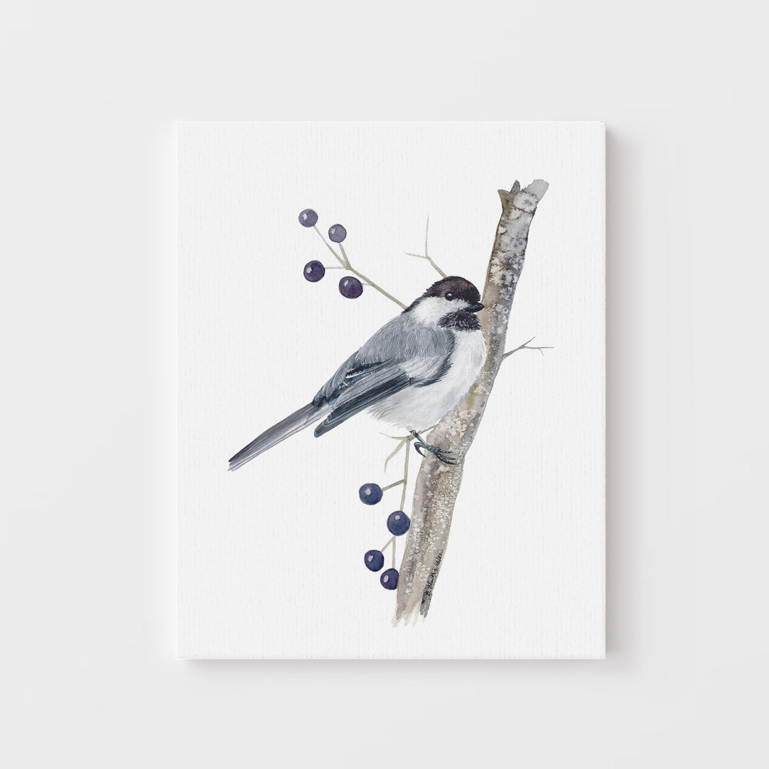 Black-capped Chickadee Art - Brett Blumenthal Art