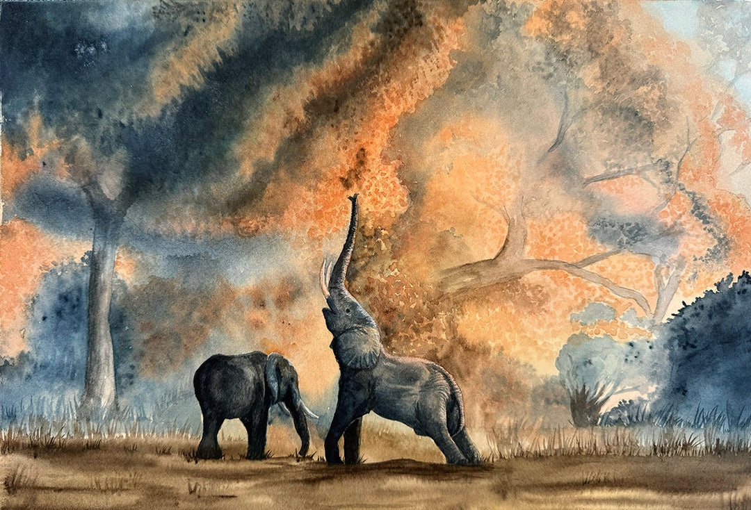 wildlife conservation artwork by Brett Blumenthal featuring animals in their natural habitat