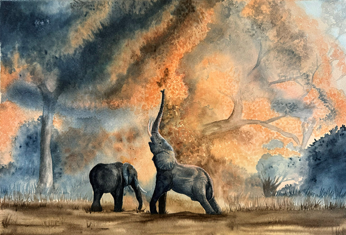 wildlife conservation artwork by Brett Blumenthal featuring animals in their natural habitat