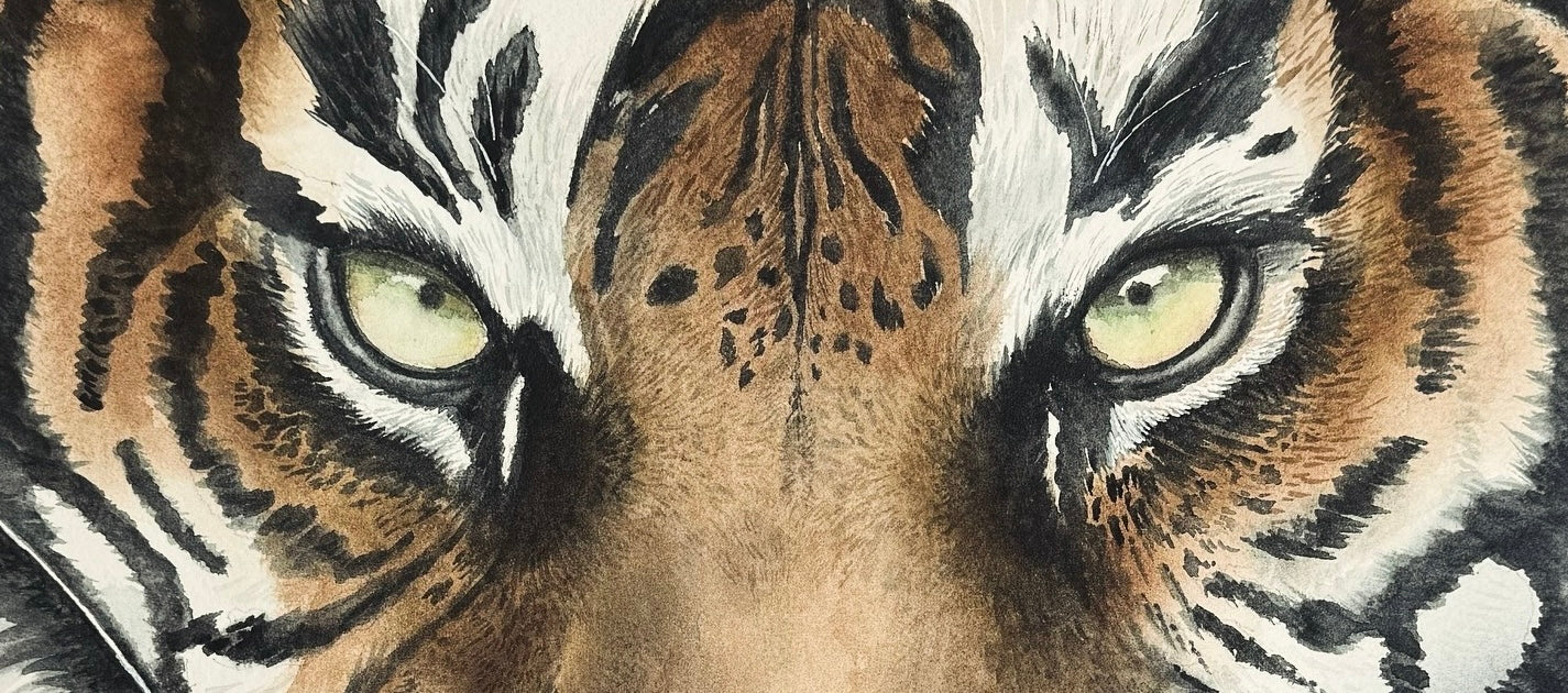 Tiger wildlife art representing empathy and connection in wildlife conservation
