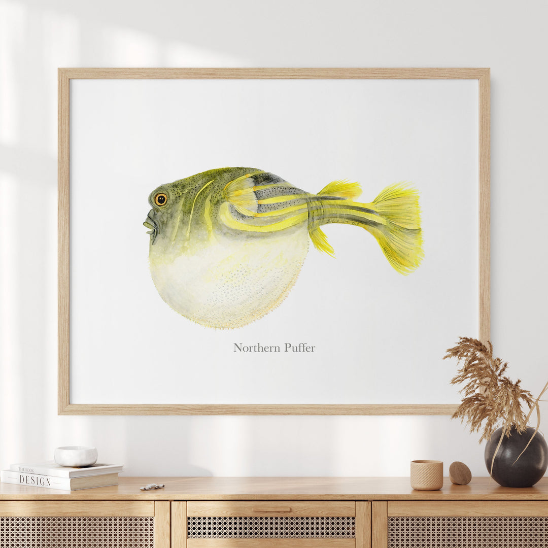 a picture of a yellow northern puffer fish on a white wall