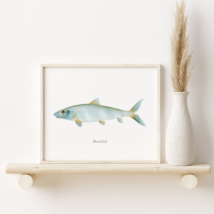 a picture of a bonefish on a shelf next to a vase