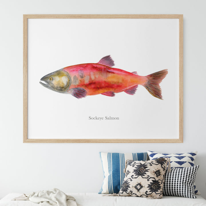 a picture of a fish on a wall above a bed