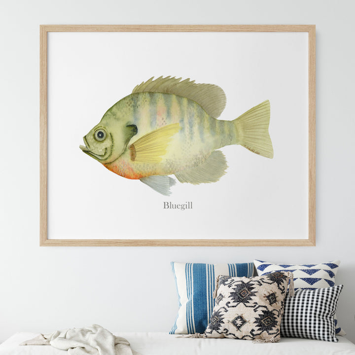 a picture of a bluegill fish on a wall above a bed