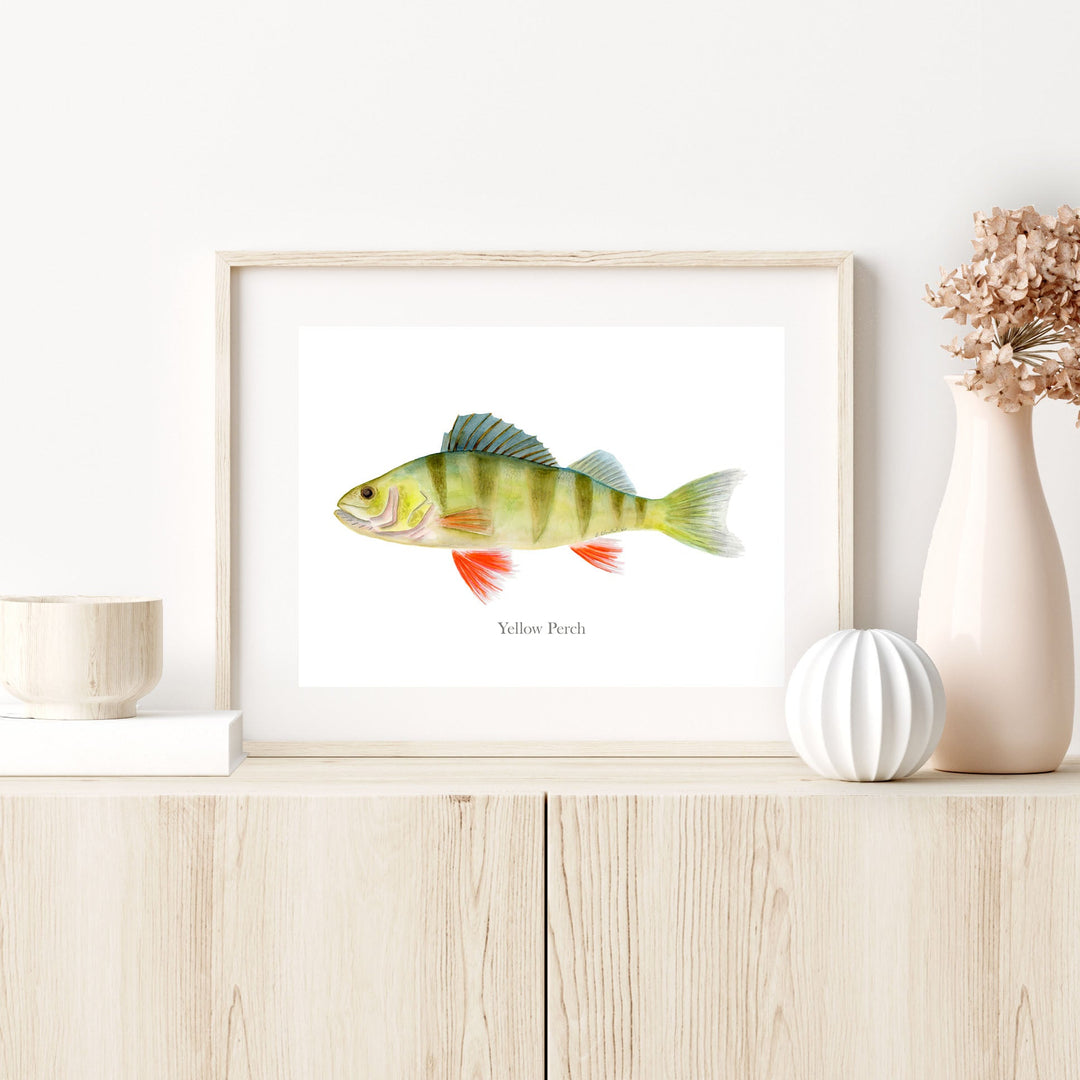 a picture of a yellow perch on a shelf