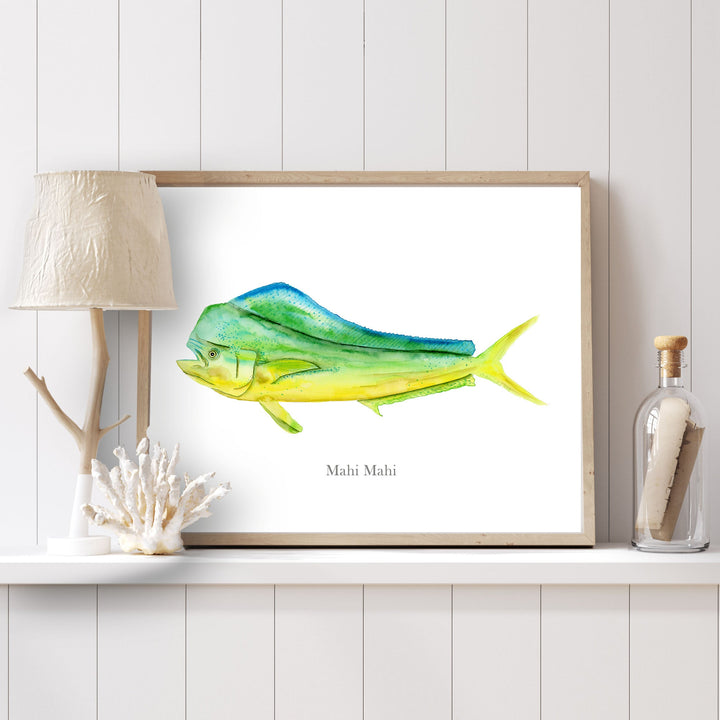 a picture of a mahi mahi on a shelf