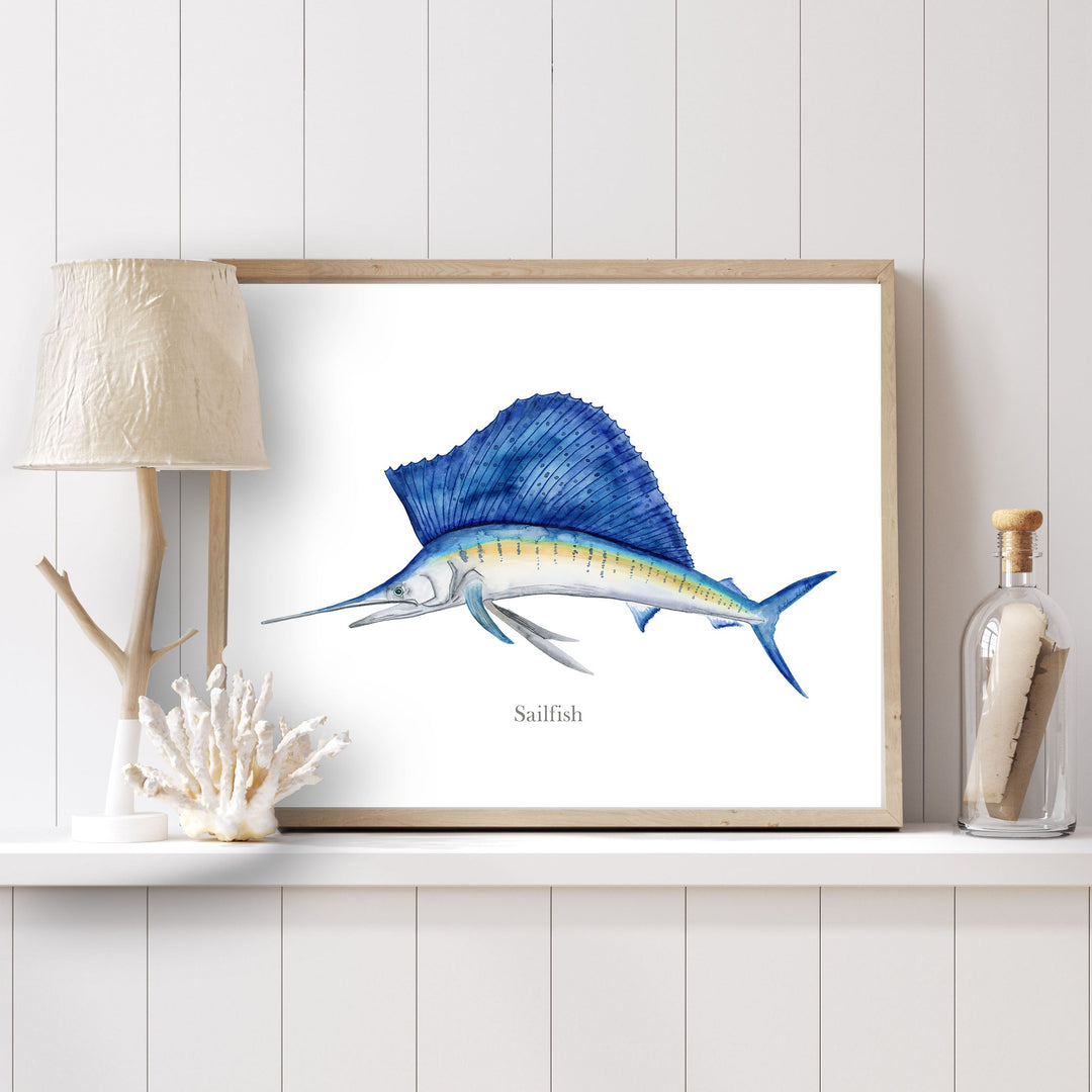 a picture of a sailfish on a shelf