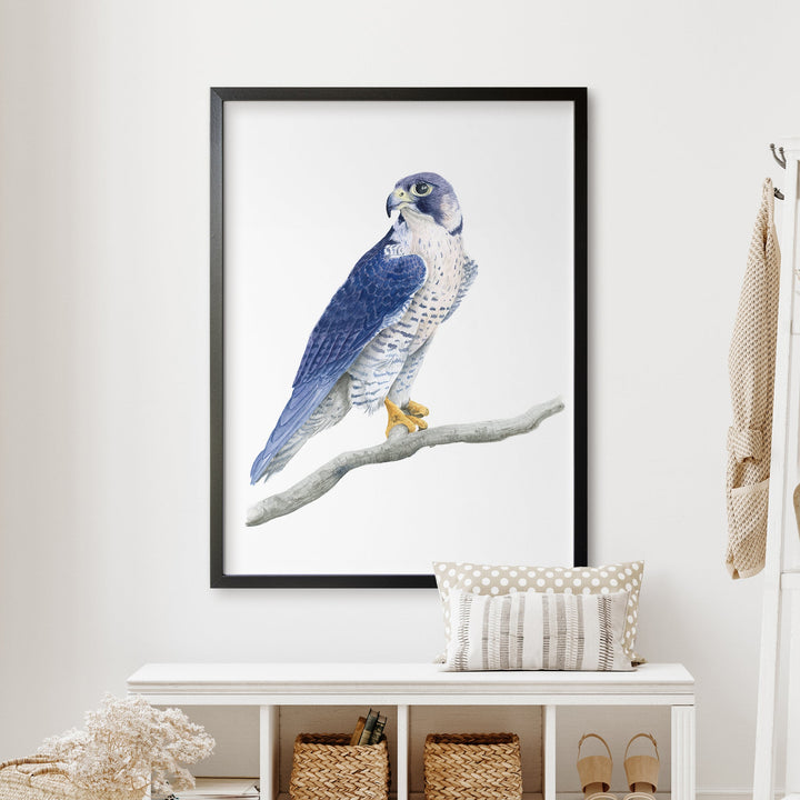 a blue and white bird sitting on top of a tree branch