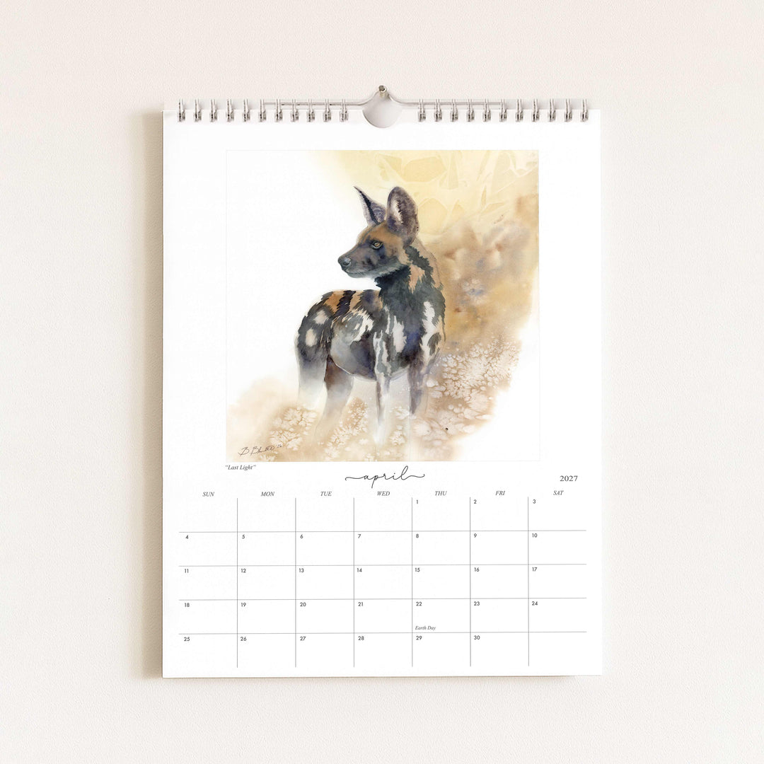 Watercolor painting of an African wild dog titled "Last Light," featured in the 2027 wildlife calendar