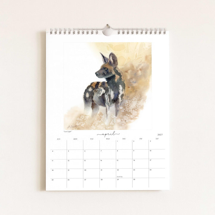 Watercolor painting of an African wild dog titled "Last Light," featured in the 2027 wildlife calendar