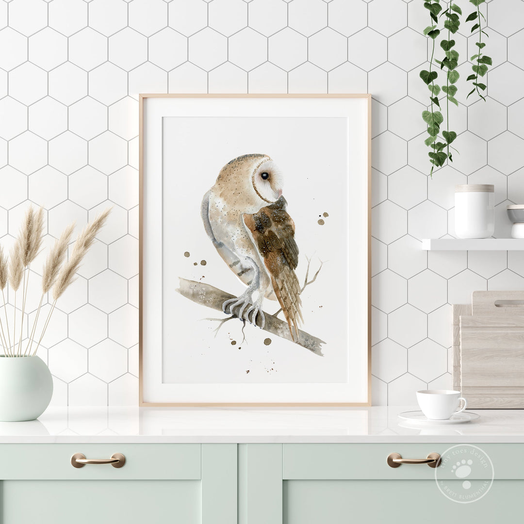 Barn Owl Wall Art