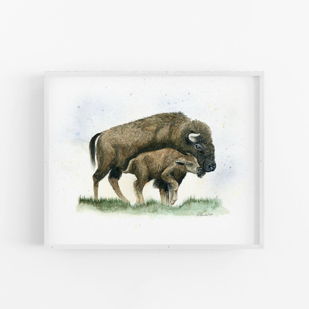 "Nuzzle on the Plain" Bison Art Print