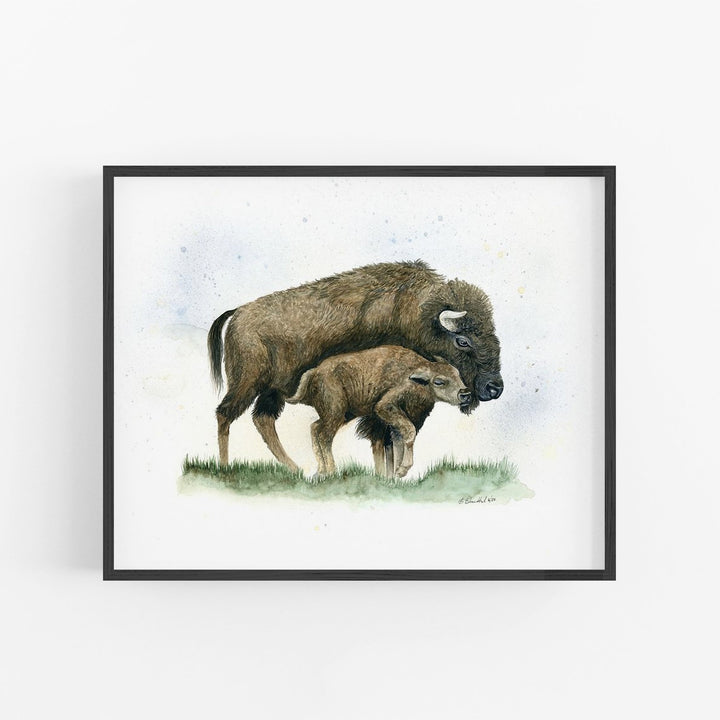 "Nuzzle on the Plain" Bison Art Print