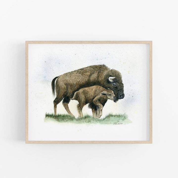 "Nuzzle on the Plain" Bison Art Print - Brett Blumenthal Art