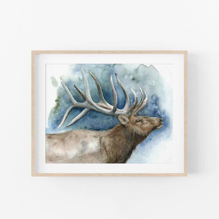 Elder of the Ridge | Elk Wildlife Art Print