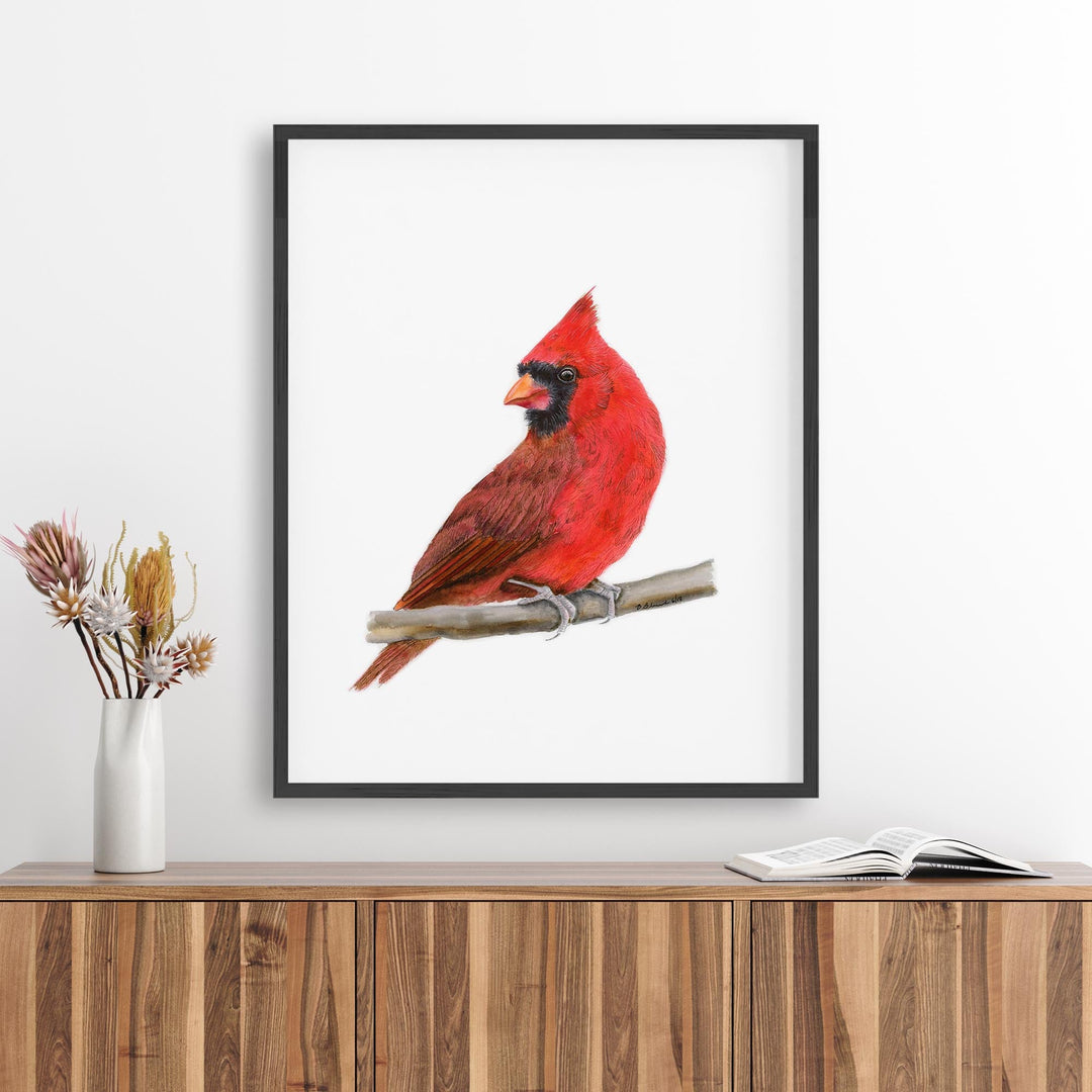 Northern Cardinal Watercolor - Brett Blumenthal Art