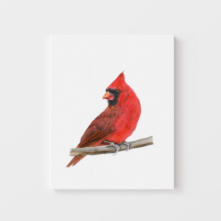 Northern Cardinal Watercolor - Brett Blumenthal Art