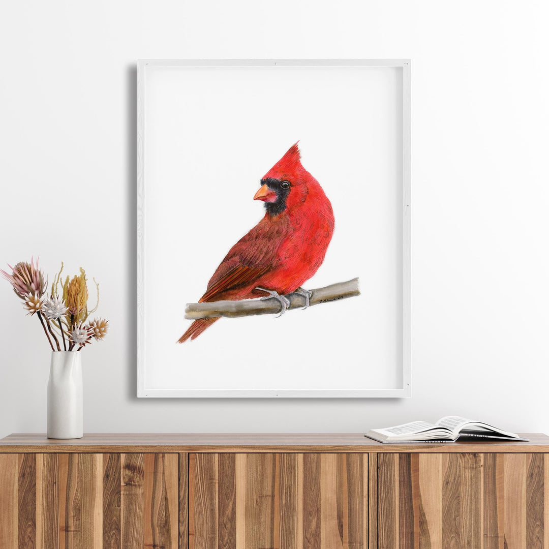 Northern Cardinal Watercolor - Brett Blumenthal Art