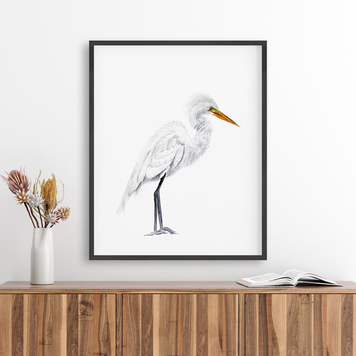 Grande Aigrette Aquarelle