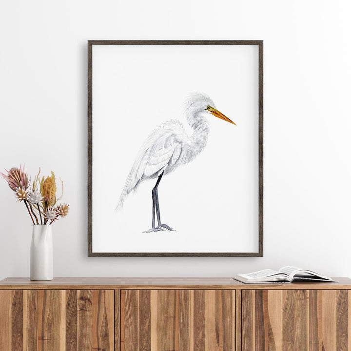 Grande Aigrette Aquarelle