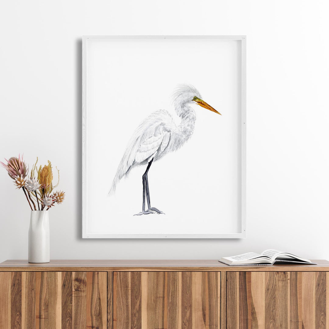 Grande Aigrette Aquarelle