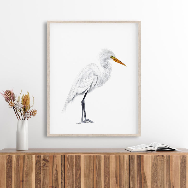 Grande Aigrette Aquarelle