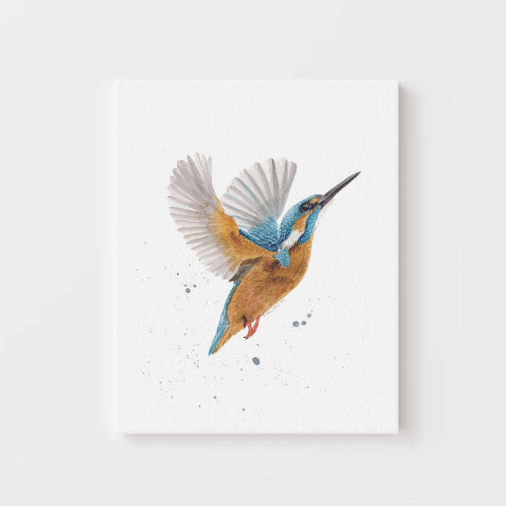 Eisvogel Aquarell