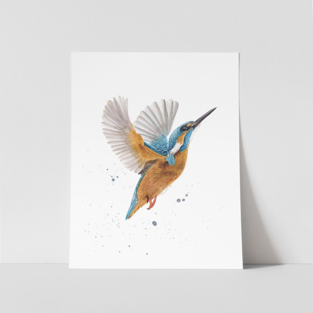 Eisvogel Aquarell