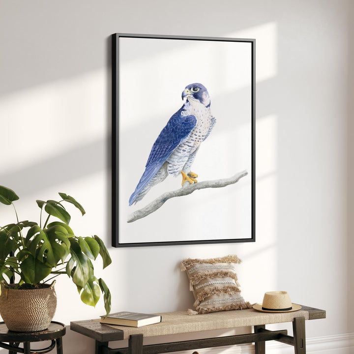 Peregrine Falcon Watercolor - Brett Blumenthal Art