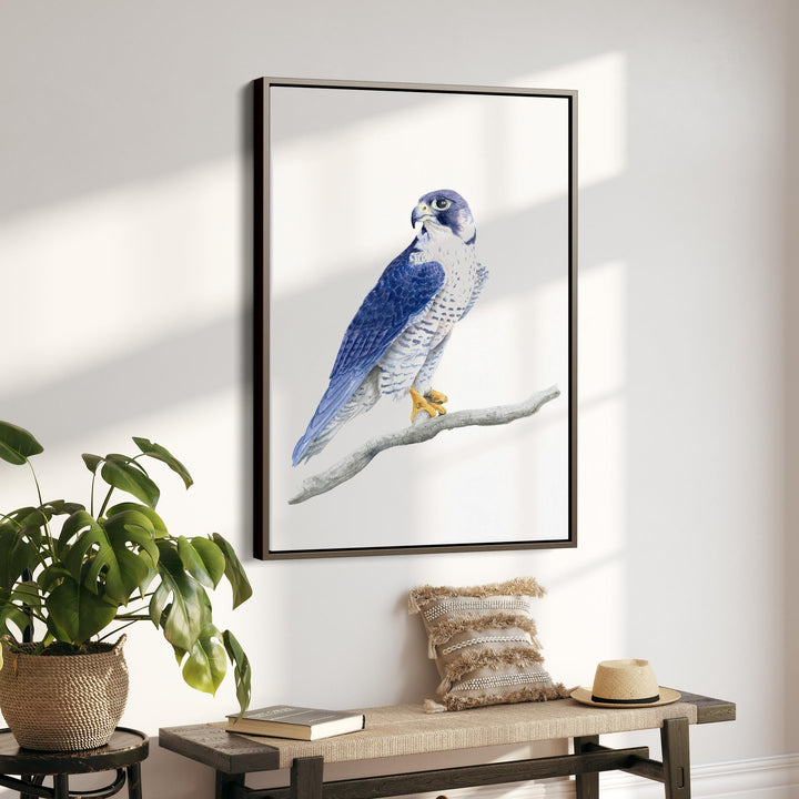 Peregrine Falcon Watercolor - Brett Blumenthal Art