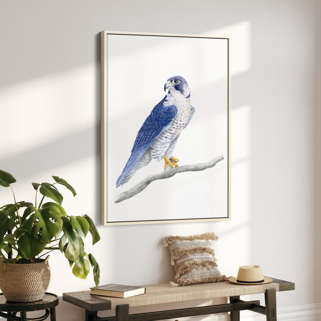 Peregrine Falcon Watercolor - Brett Blumenthal Art