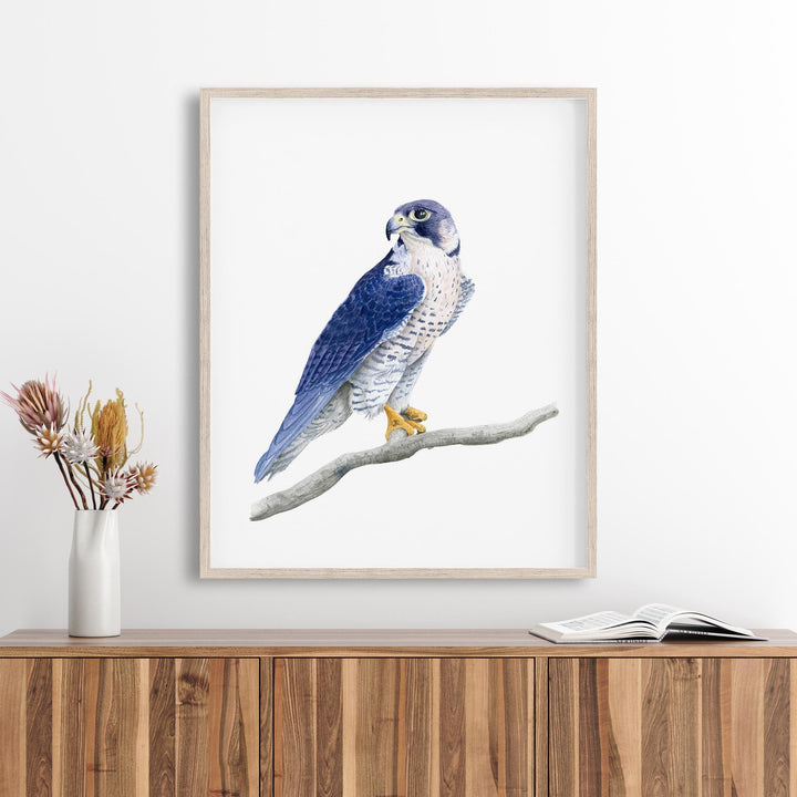 Peregrine Falcon Watercolor - Brett Blumenthal Art