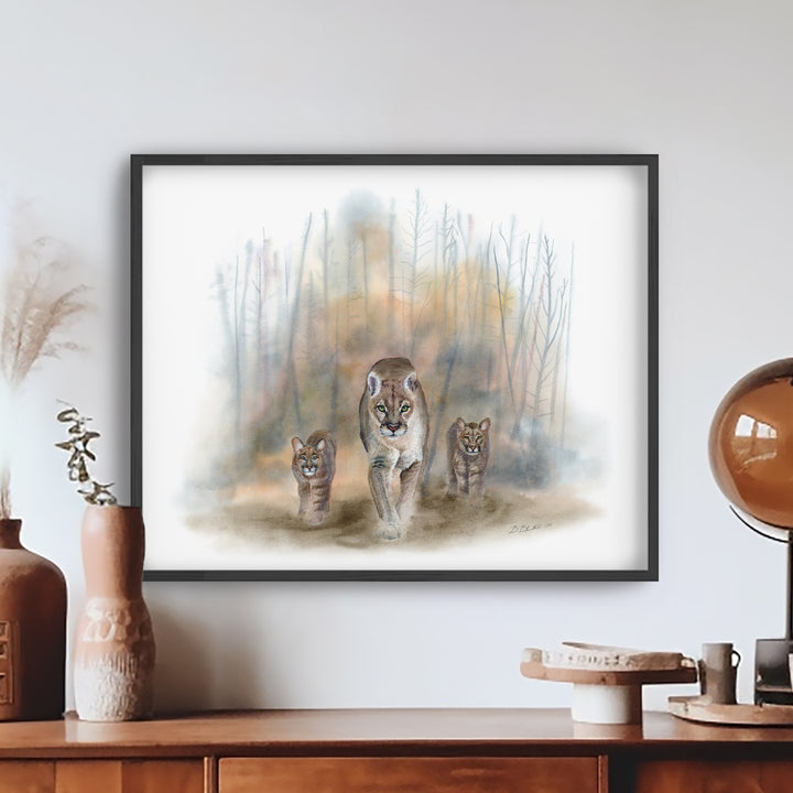 “Homeless” - Mountain Lion Limited Edition Giclee Prints