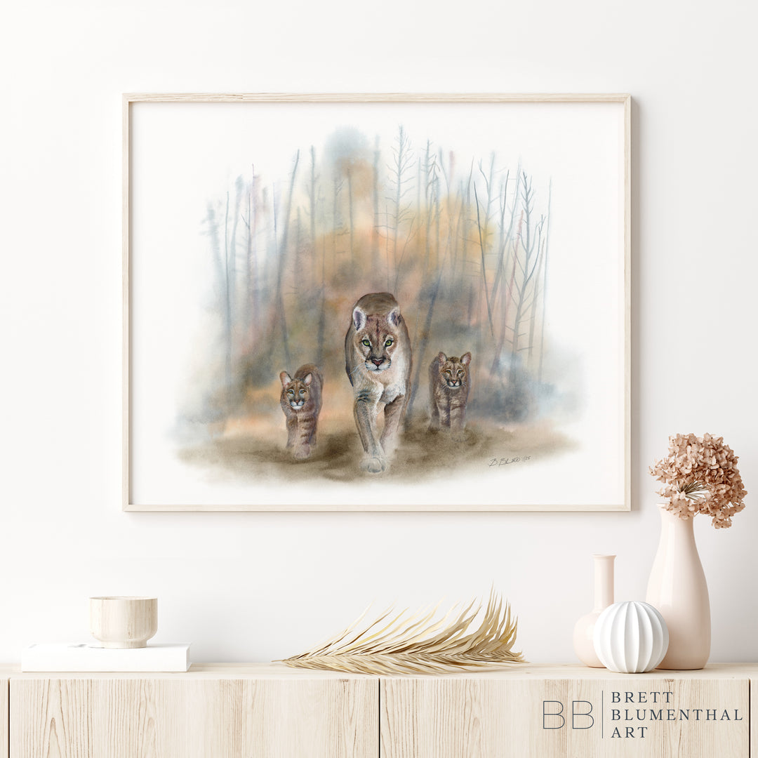 “Homeless” - Mountain Lion Limited Edition Giclee Prints