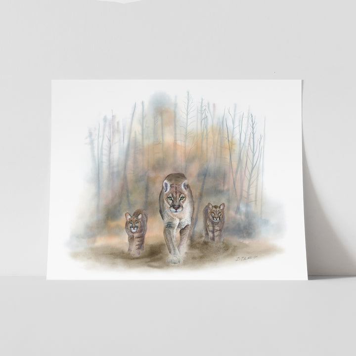 “Homeless” - Mountain Lion Limited Edition Giclee Prints