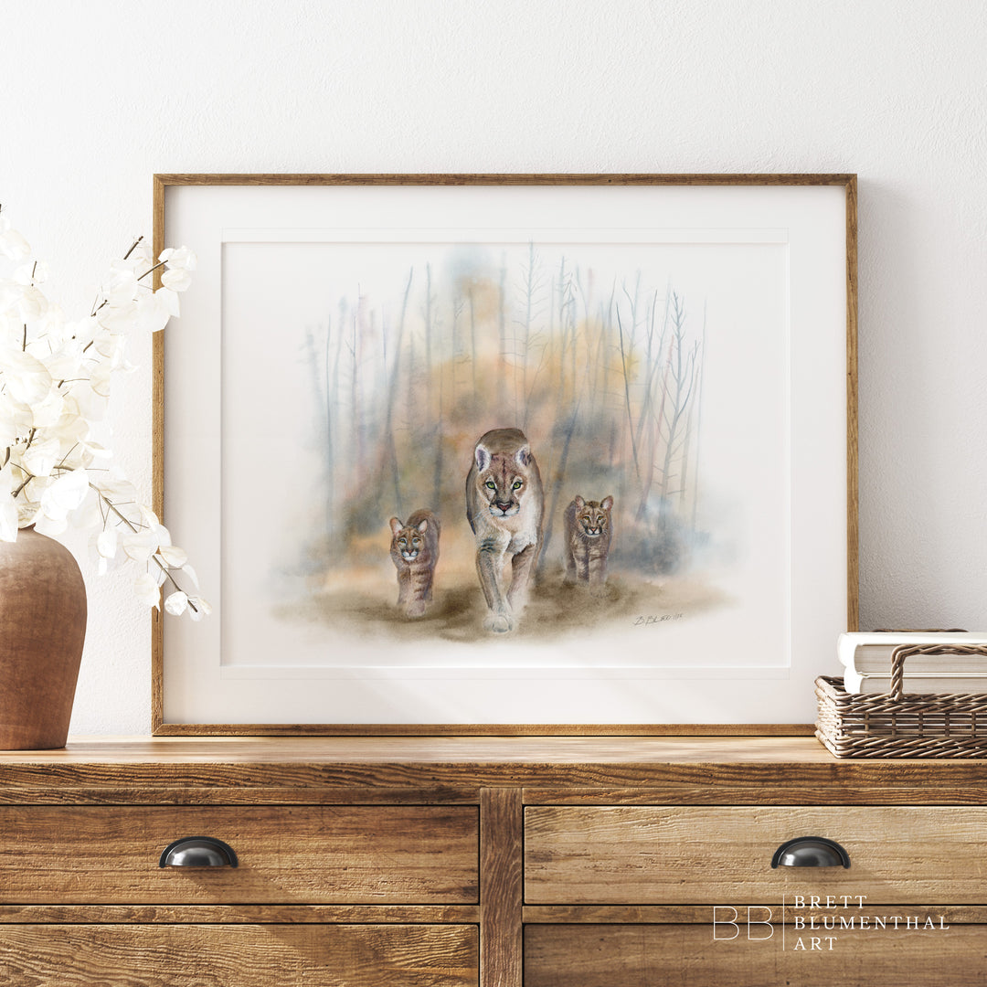 “Homeless” - Mountain Lion Limited Edition Giclee Prints