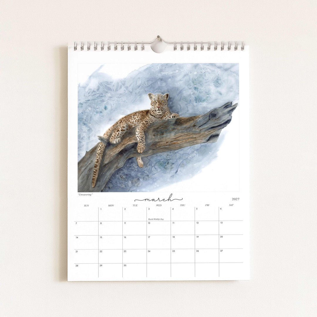 Watercolor painting of a jaguar titled "Unwavering," featured in the 2027 wildlife calendar