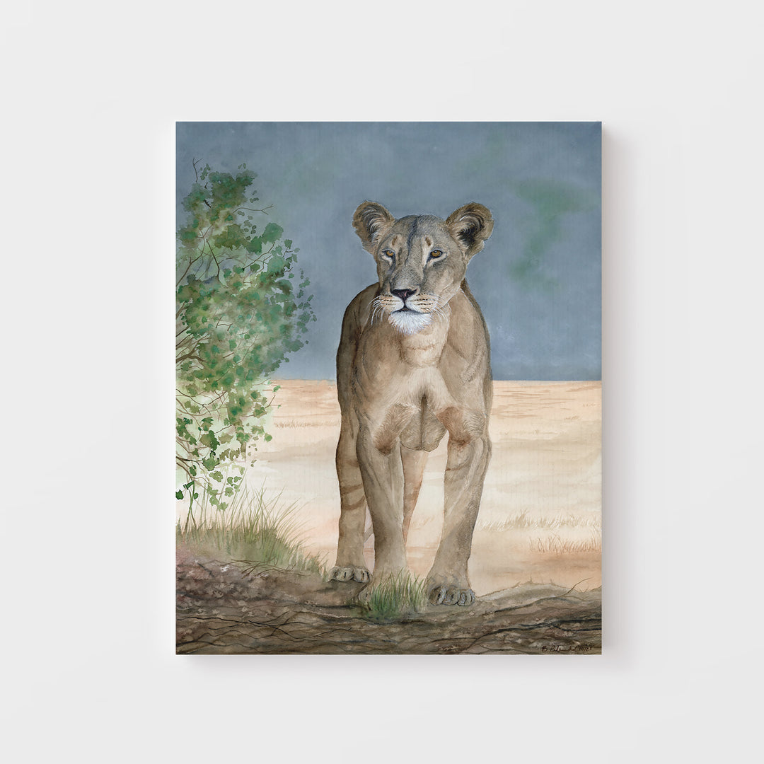 "Nanai - A Samburu Legend" Lioness Print - Brett Blumenthal Art