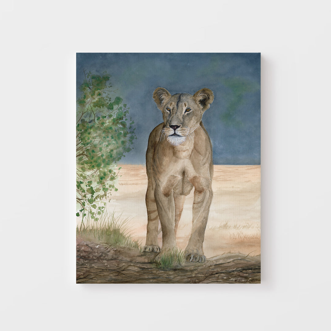 "Nanai - A Samburu Legend" Lioness Print