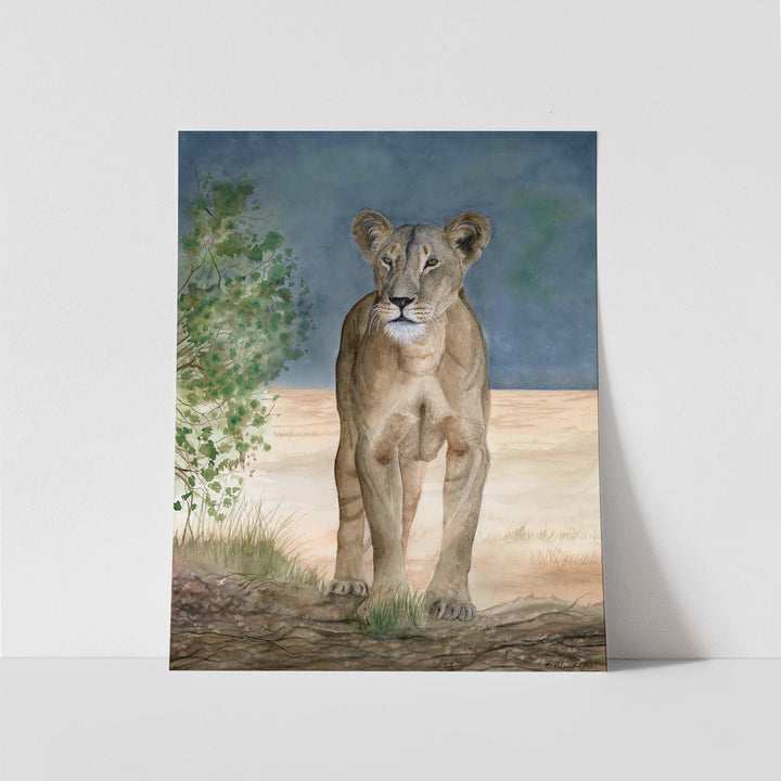 "Nanai - A Samburu Legend" Lioness Print