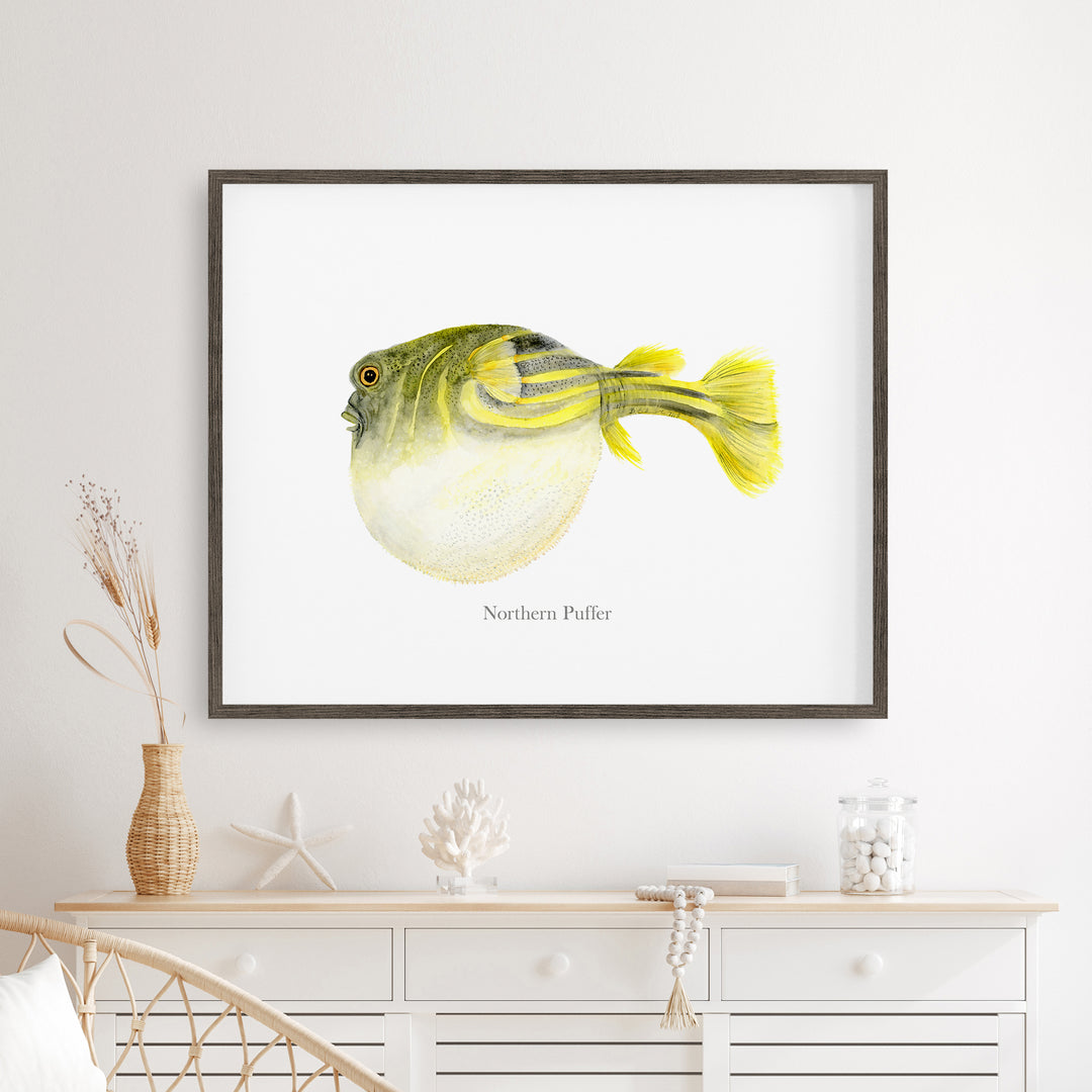 Northern Puffer Fish Print