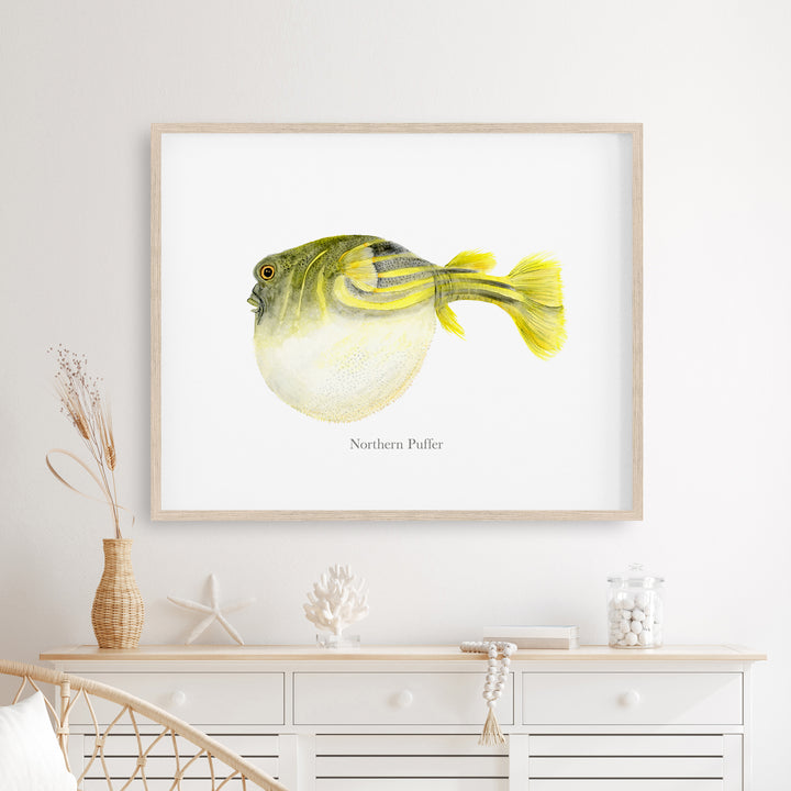 Northern Puffer Fish Print