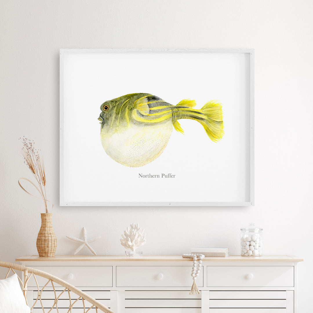 Northern Puffer Fish Print