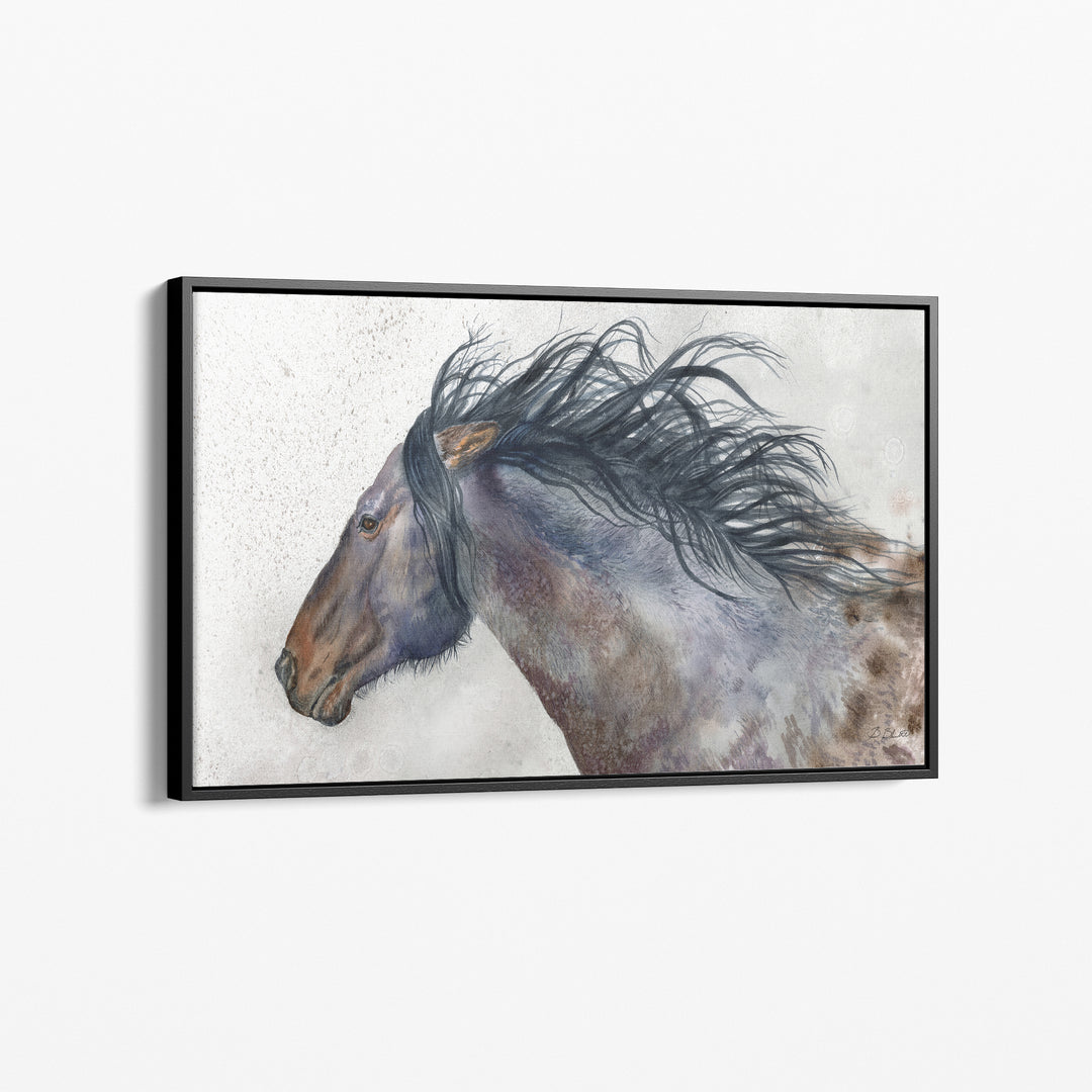 Onaqui Spirit | Prints, Canvas and Framed - Brett Blumenthal Art
