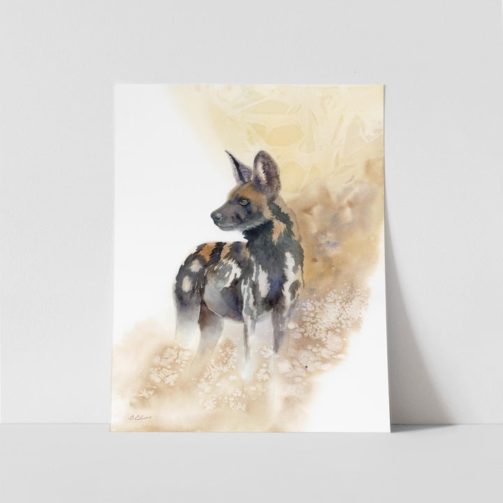 Last Light | African Wild Dog