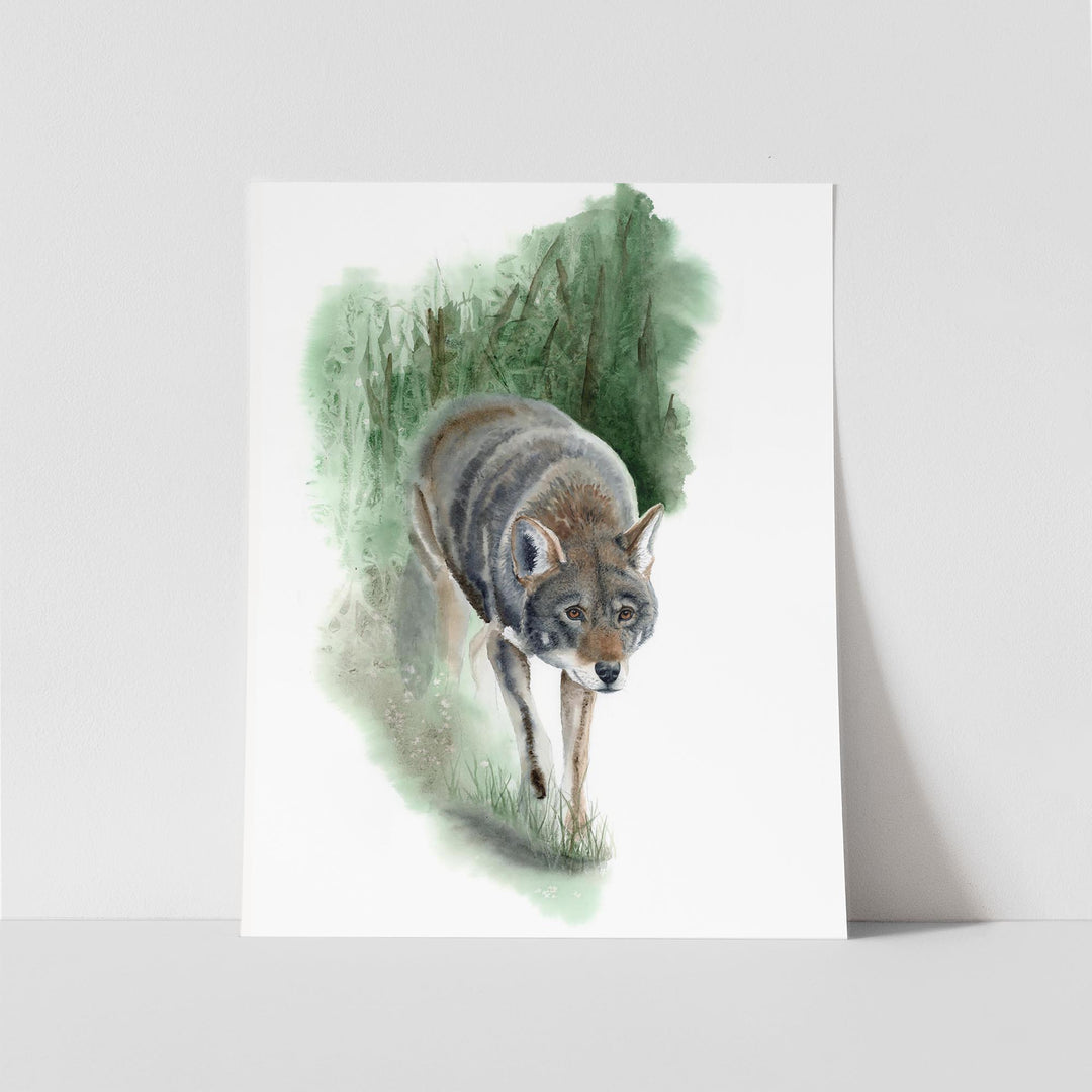 Red Wolf Art – “What Remains” | Endangered Species Wall Art (Print, Canvas, Framed) - Brett Blumenthal Art