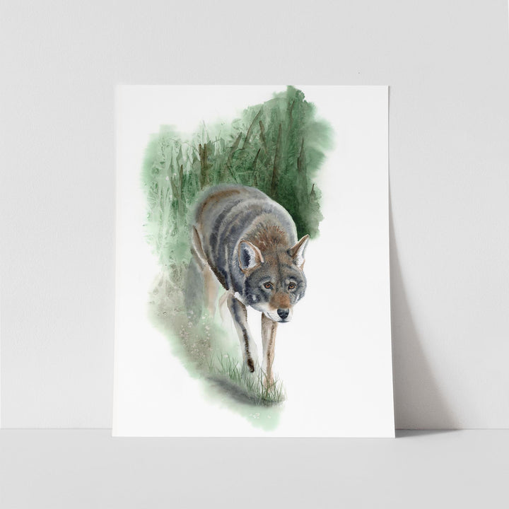 Red Wolf Art – “What Remains” | Endangered Species Wall Art (Print, Canvas, Framed) - Brett Blumenthal Art