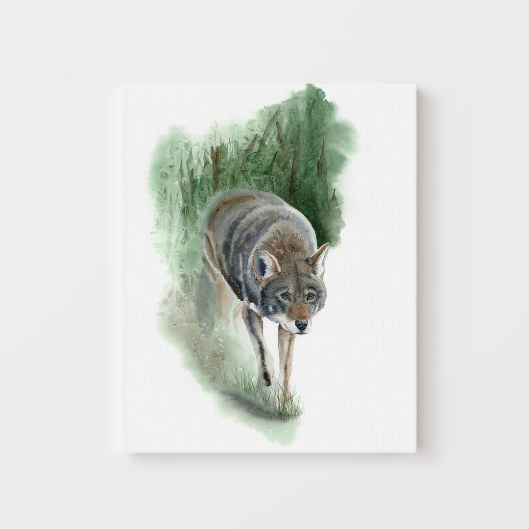 Red Wolf Art – “What Remains” | Endangered Species Wall Art (Print, Canvas, Framed) - Brett Blumenthal Art