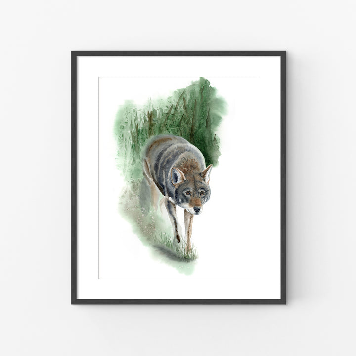 Red Wolf Art – “What Remains” | Endangered Species Wall Art (Print, Canvas, Framed) - Brett Blumenthal Art