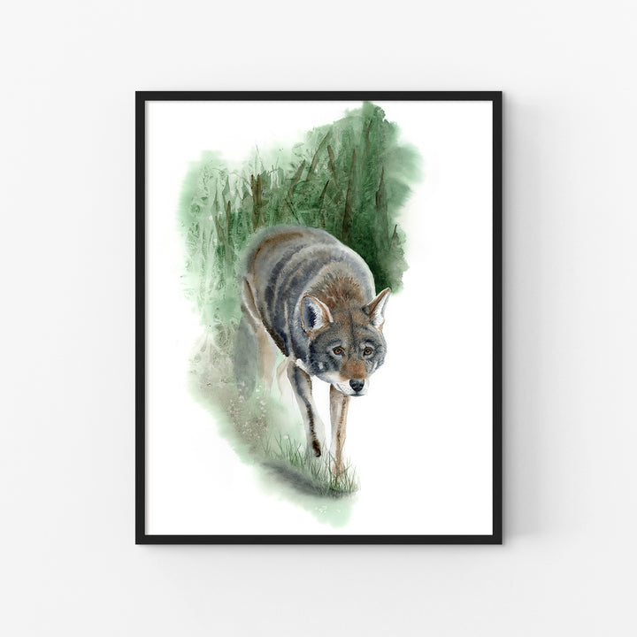 Red Wolf Art – “What Remains” | Endangered Species Wall Art (Print, Canvas, Framed) - Brett Blumenthal Art